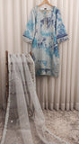2Pcs Embroidered Cotton Net suit