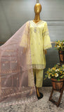 2Pcs Embroidered Cotton Net suit
