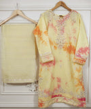 2Pcs Embroidered Cotton Net suit