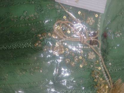 2Pcs Embroidered Chiffon Suit