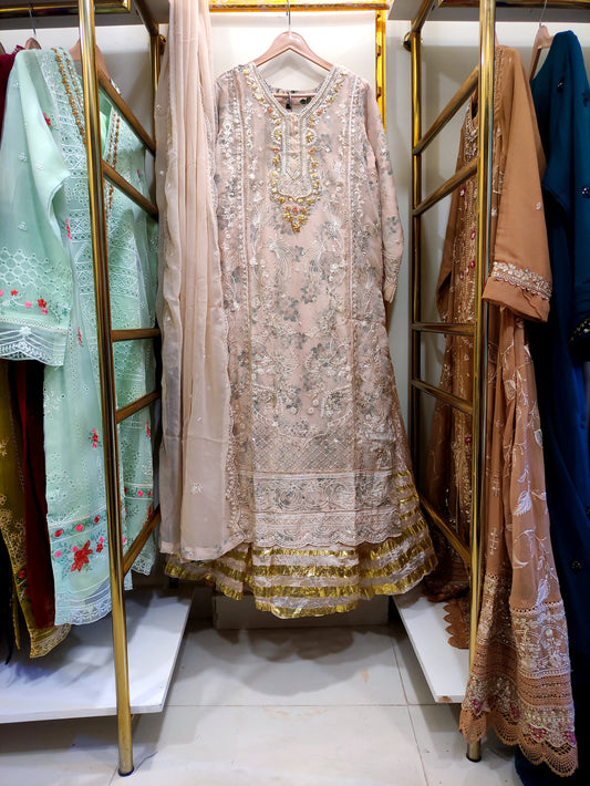 3pcs Embroidered & printed Chiffon Gown